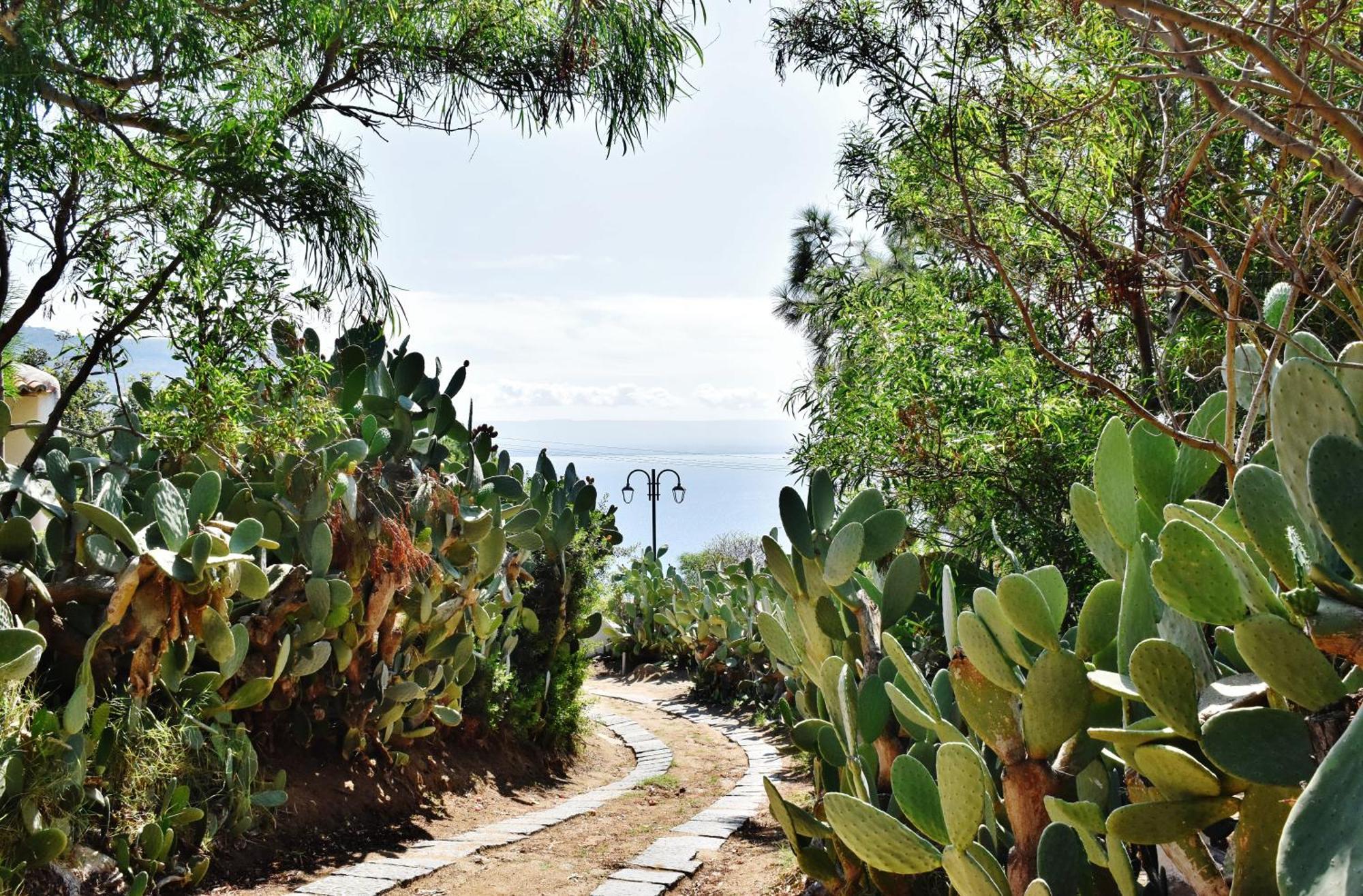 Calabria Beach Villa'S Capo Vaticano Dış mekan fotoğraf